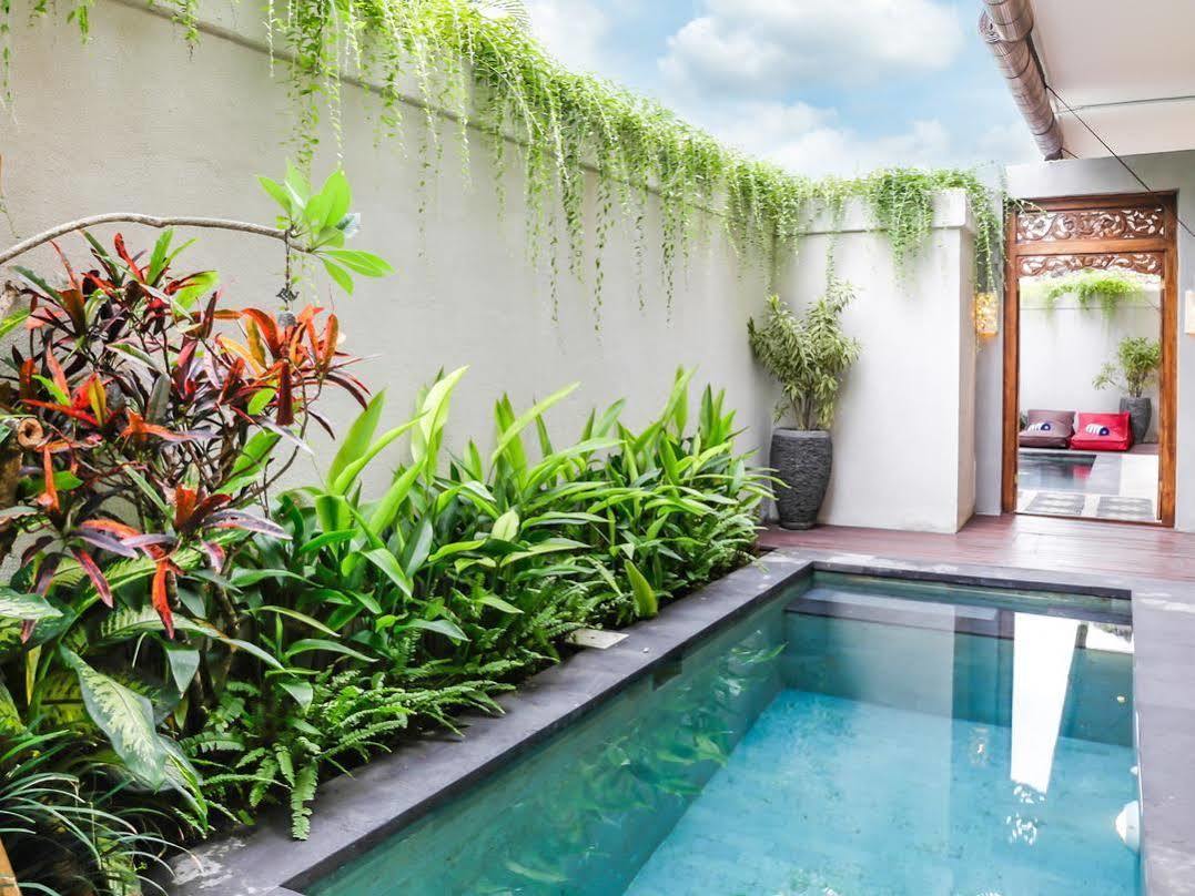 Aroha Boutique Villas Семиняк Екстериор снимка